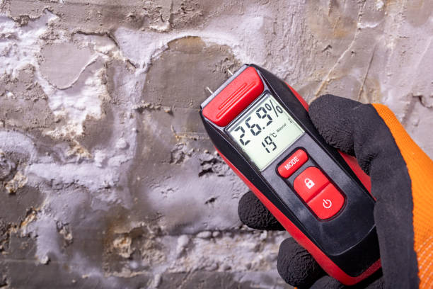 Best Best Mold Removal Companies  in The Village, OK