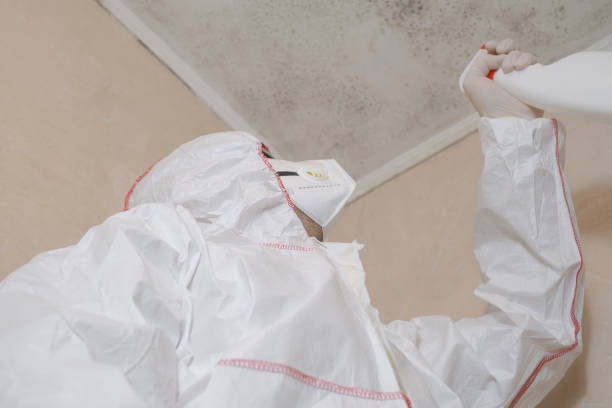 Best Crawl Space Mold Removal  in The Village, OK